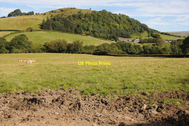 Photo 6"x4" View to Craigfriar Frank's Bridge c2012