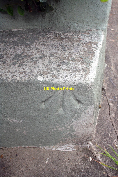 Photo 6"x4" Benchmark on #7 Cattistock Road Maiden Newton c2012