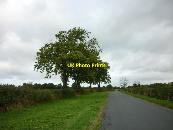 Photo 6"x4" Looking north along Newbridge Lane Wilberfoss c2012