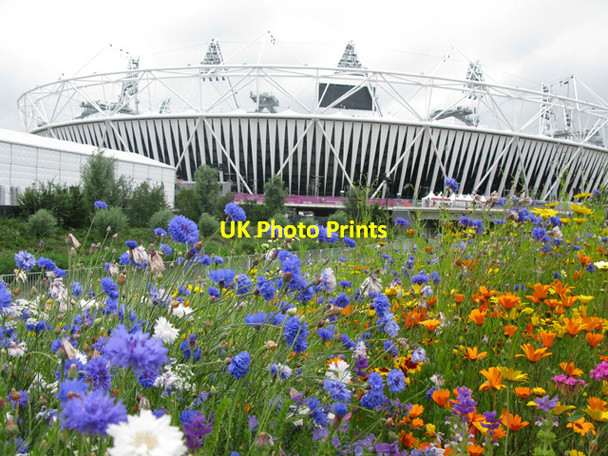 Photo 6"x4" The flower 'meadow' at the Olympic Park Bow\/TQ3682 c2012
