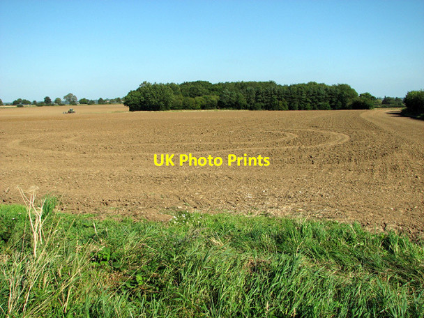 Photo 6"x4" Woodland in fields Rockland St Mary c2012