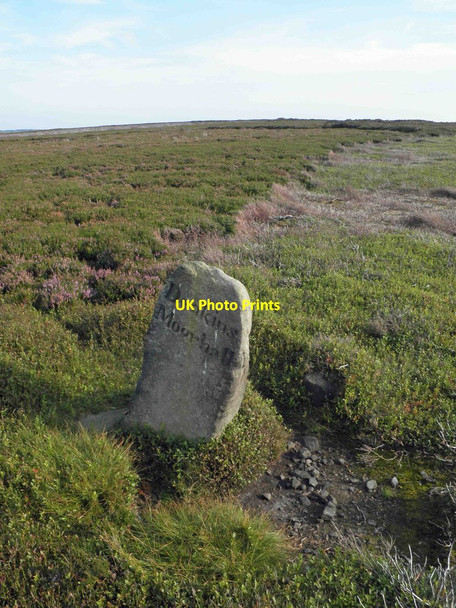 Photo 6"x4" Deakins Moorhall boundary stone on Broomhead Moor Wigtwizzle c2012