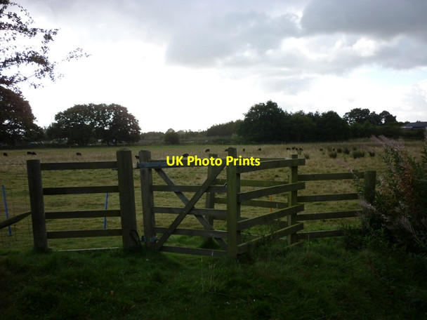 Photo 6"x4" A kissing gate at Calley Heath Nature Reserve Barmby Moor c2012