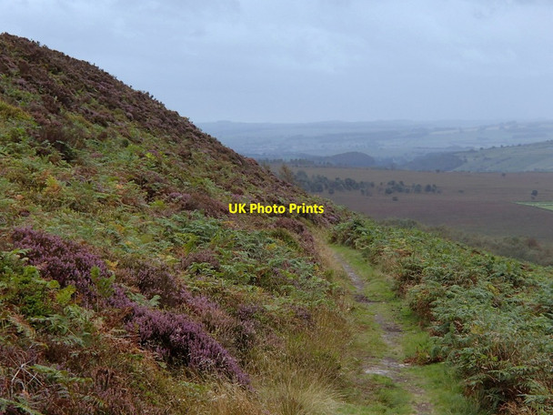 Photo 6"x4" White Edge Moor footpath Nether Padley c2012