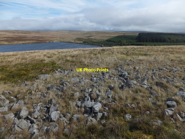 Photo 6"x4" Twrch Sandstone blockfield above Llangynidr Reservoir (ii) Rassau c2012