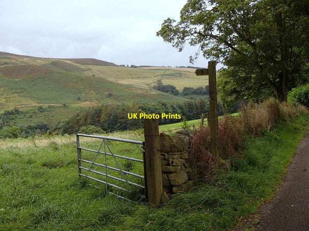 Photo 6"x4" Field gate near Highlow Hall Leadmill\/SK2380 c2012
