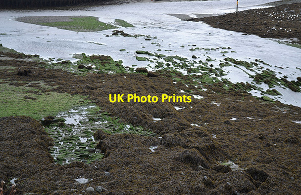 Photo 6"x4" The sea bed in Aberystwyth harbour Aberystwyth c2012