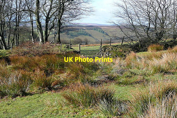 Photo 6"x4" Gateway off the moor Codsend c2012