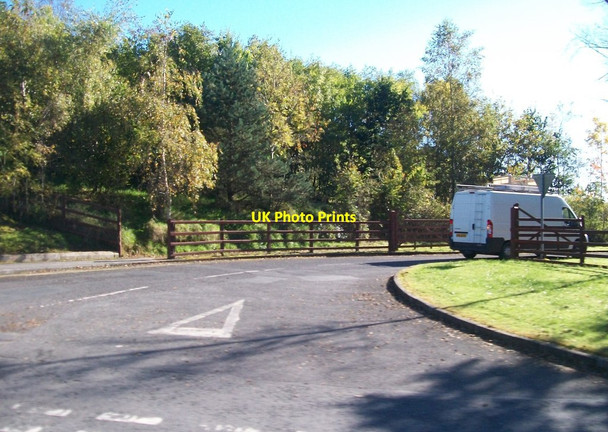 Photo 6"x4" Entrance to Delamont Country Park from the A22 Killyleagh c2012