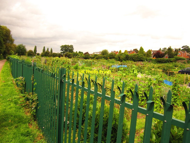 Photo 6"x4" Netherstowe Allotment Lichfield c2012