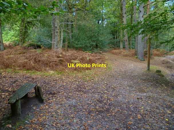 Photo 6"x4" Rickety seat on the Greensand Way Broadmoor\/TQ1345 c2012
