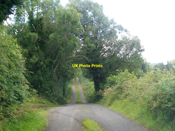 Photo 6"x4" Narrow country lane aboxe Barnagrow Lough Madabawn c2012