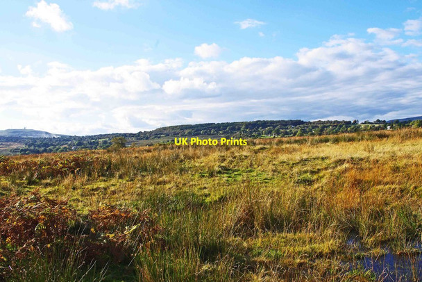 Photo 6"x4" Catherton Common Hill Houses\/SO6379 c2012