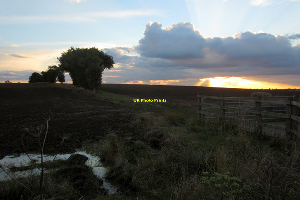 Photo 6"x4" Hedgerow between fields Leighton Buzzard c2012