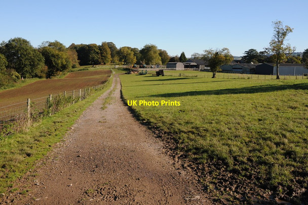 Photo 6"x4" Track and footpath English Bicknor c2012
