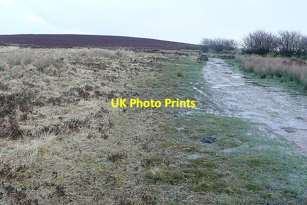 Photo 6"x4" Link to the Dunkery Beacon bridleway Codsend c2012