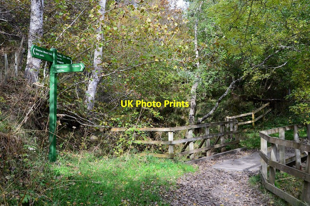 Photo 6"x4" Footpaths at Dulicht Bridge Grantown-On-Spey c2012