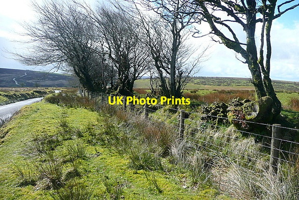 Photo 6"x4" Edge of Alderman's Barrow Allotment Edgcott\/SS8438 c2012