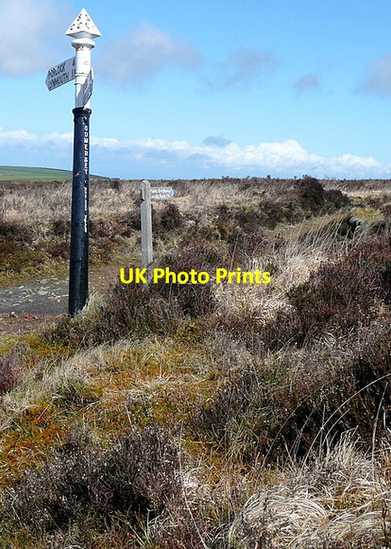 Photo 6"x4" Lucott Cross Lucott Cross c2012