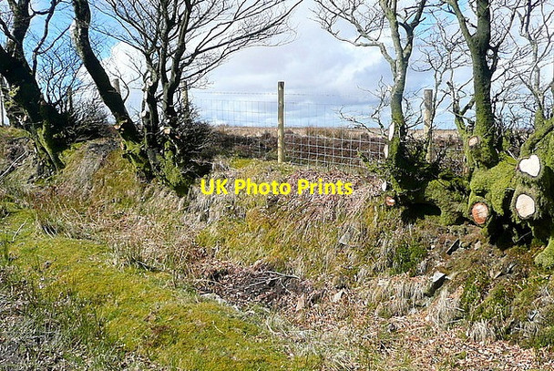 Photo 6"x4" Porlock Allotment Alderman's Barrow c2012