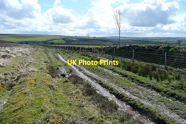 Photo 6"x4" Bridleway on Almsworthy Common Edgcott\/SS8438 c2012