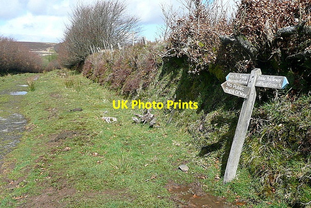 Photo 6"x4" Bridleway towards Almsworthy Common Edgcott\/SS8438 c2012