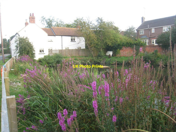 Photo 6"x4" Village pond, Little Weighton Little Weighton c2012