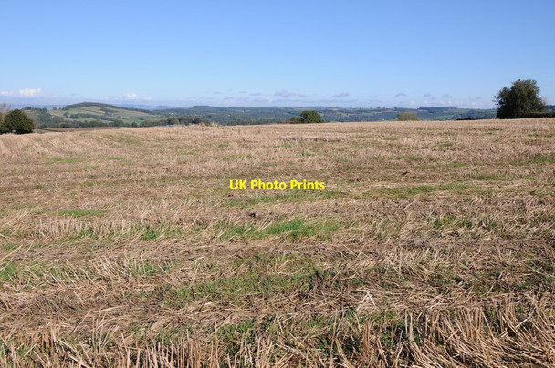 Photo 6"x4" Stubble field at Hillersland Hillersland c2012