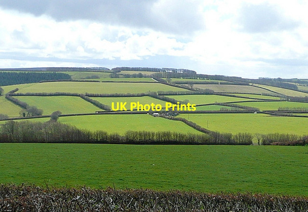 Photo 6"x4" View south from Langdon's Way Codsend c2012