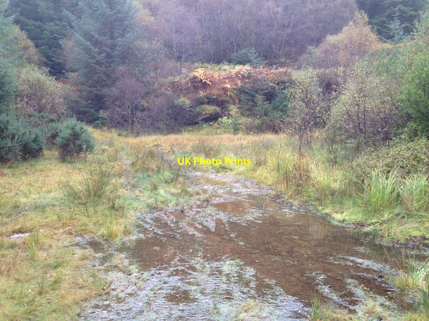 Photo 6"x4" Quarry in the forest near Salen Salen c2012