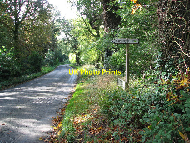 Photo 6"x4" View along Station Road on the way to Flordon Foxhole\/TM2197 c2012