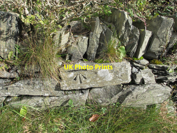 Photo 6"x4" Bench mark near Valle Crucis Abbey Llandynan c2012