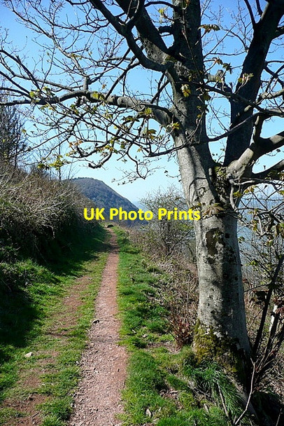 Photo 6"x4" South West coast path towards Lynmouth Lynton c2012