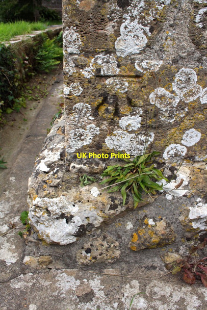 Photo 6"x4" Benchmark on the east face of Loders Church Loders c2012