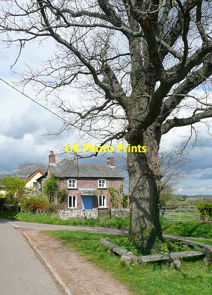 Photo 6"x4" House and green at Bryngwyn Bryngwyn\/SO3909 c2012