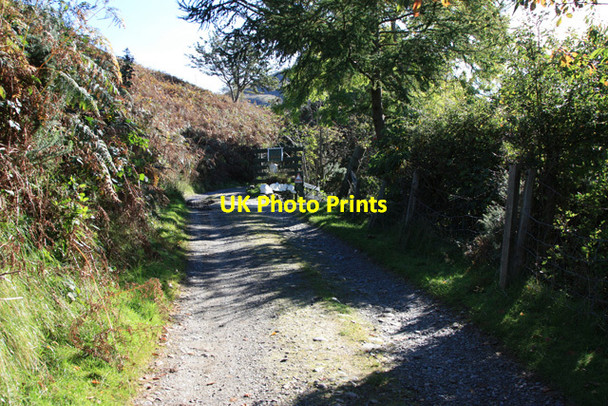 Photo 6"x4" Track to Butt Lodge Lochranza c2012