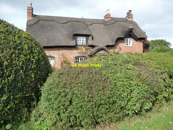 Photo 6"x4" Thatched Cottage, Anslow Anslow c2012