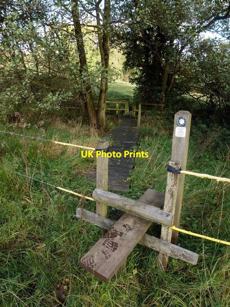 Photo 6"x4" Stile and boardwalk  Hognaston c2012