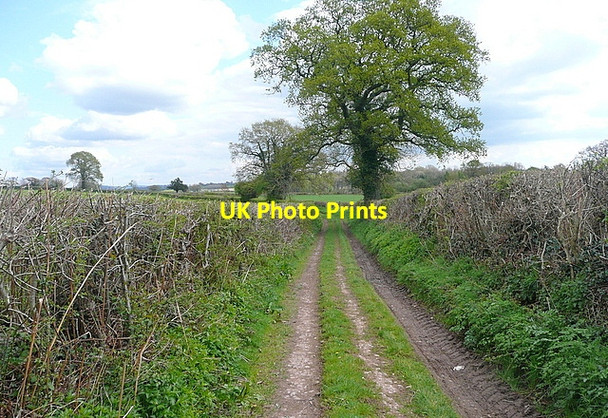 Photo 6"x4" Byway north of Hendy Bryngwyn\/SO3909 c2012
