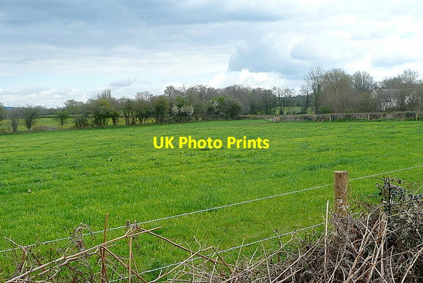 Photo 6"x4" From the Tynewydd byway Wernrheolydd c2012