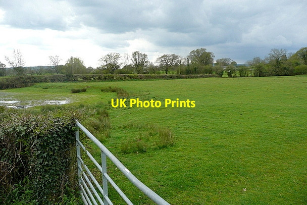 Photo 6"x4" Footpath to White House Wernrheolydd c2012