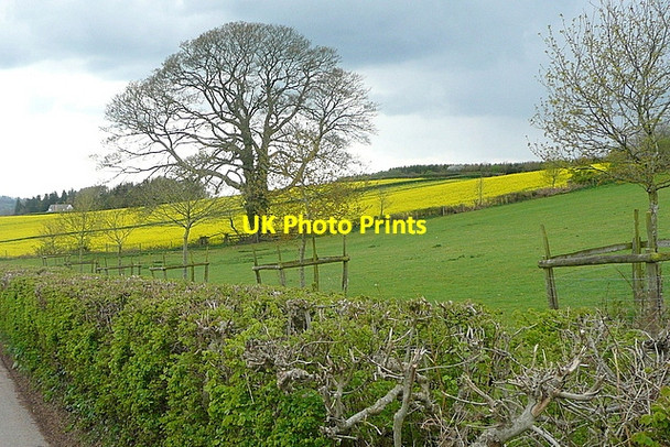 Photo 6"x4" Pasture near Cefn-coch Llanarth\/SO3710 c2012
