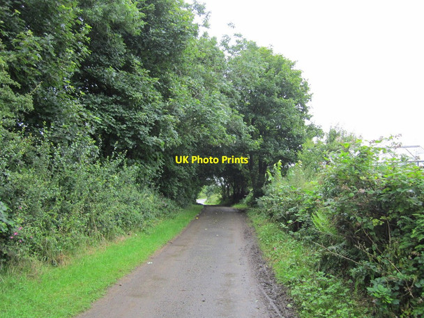 Photo 6"x4" Kirkandrews Kirk Lane Kirkandrews c2012