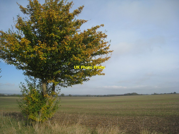 Photo 6"x4" View towards Bustardnest Fox Covert Bainton\/SE9652 c2012