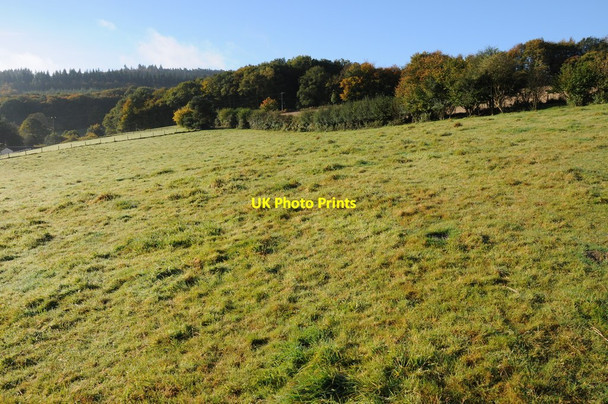 Photo 6"x4" Field above Fedw Pool Creigau c2012