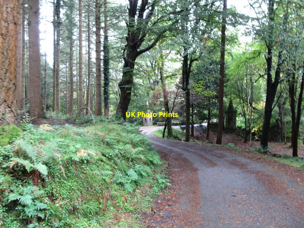 Photo 6"x4" Approaching Ivy Bridge at Tollymore Park Newcastle\/J3732 c2012