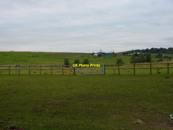 Photo 6"x4" Roadside field west of Swindon Smestow c2012