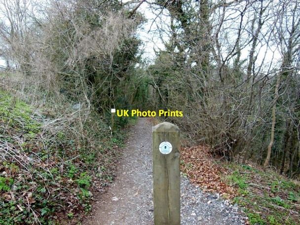 Photo 6"x4" The Cotswold Way leaves the B4066 Coaley Peak c2013