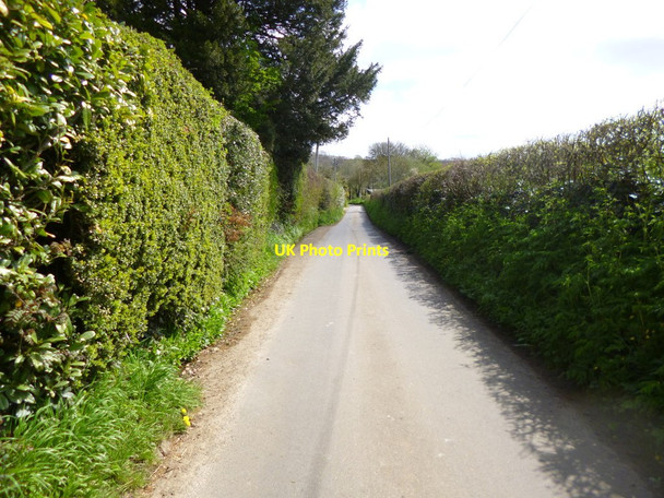 Photo 6"x4" Fifehead Neville, country lane Fifehead St Quintin c2013