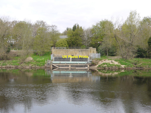 Photo 6"x4" Water inlet on River Tyne between Wylam and Ovingham Prudhoe c2013